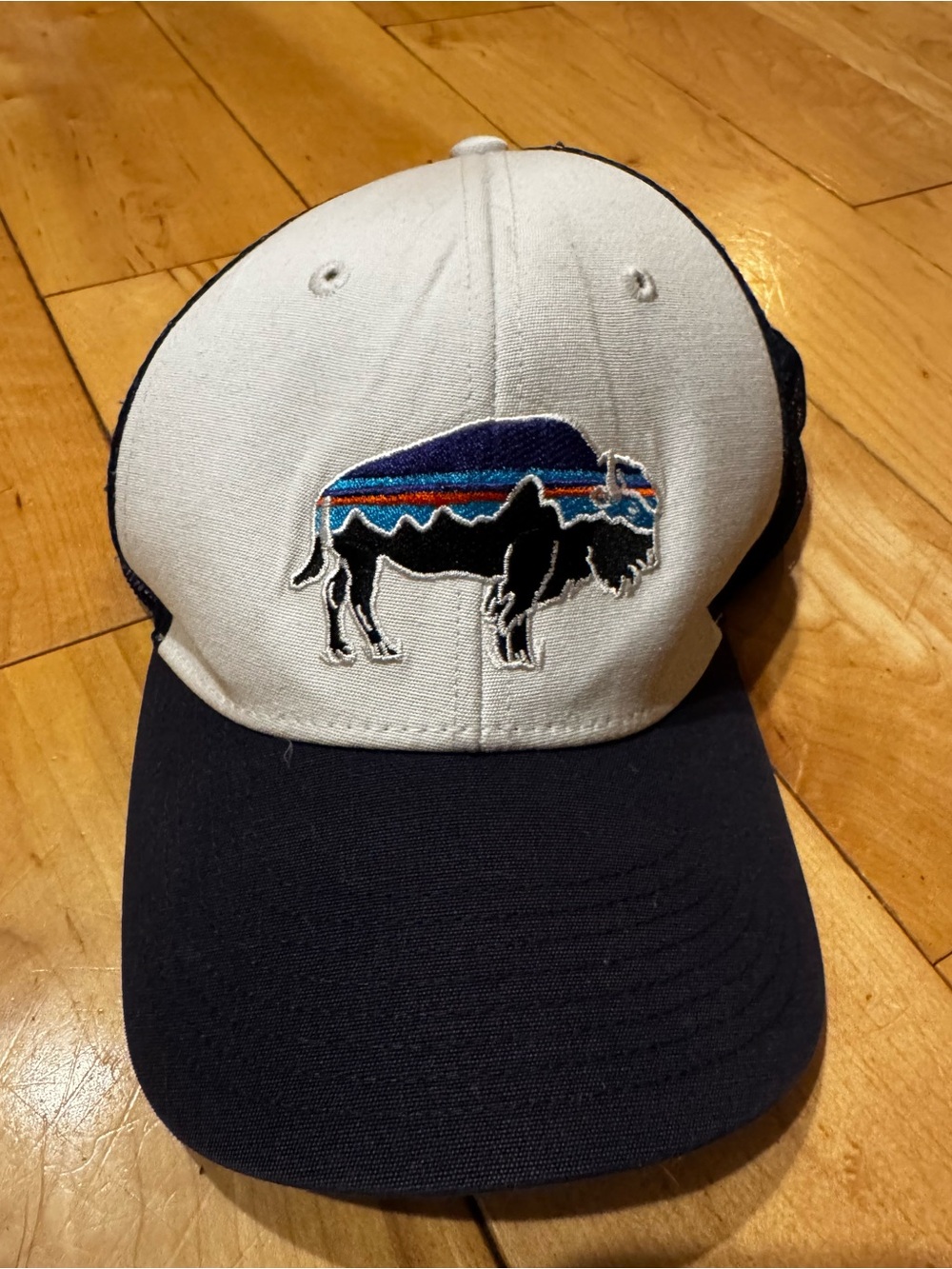 Patagonia bison adult trucker hat